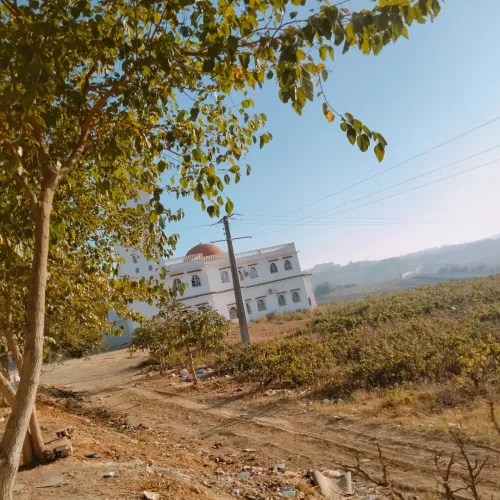 Vente Villa Alger Douera