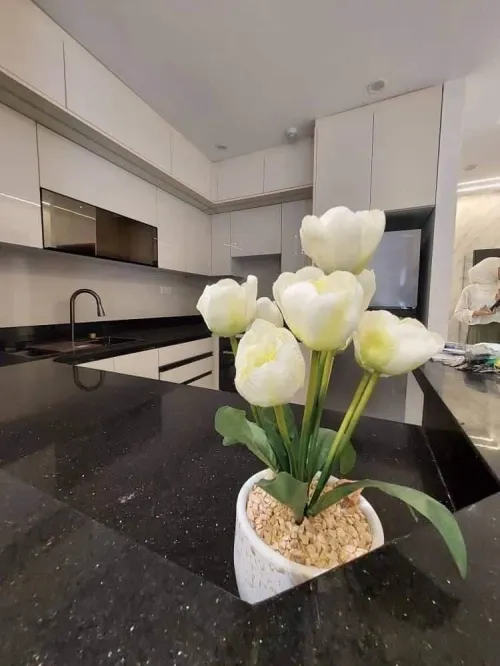 Vente Appartement F4 Alger Dar el beida