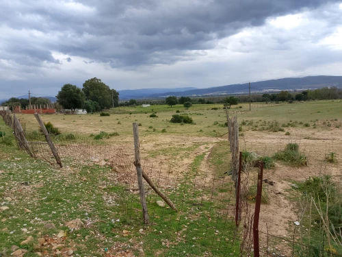 Vente Terrain El Tarf El taref