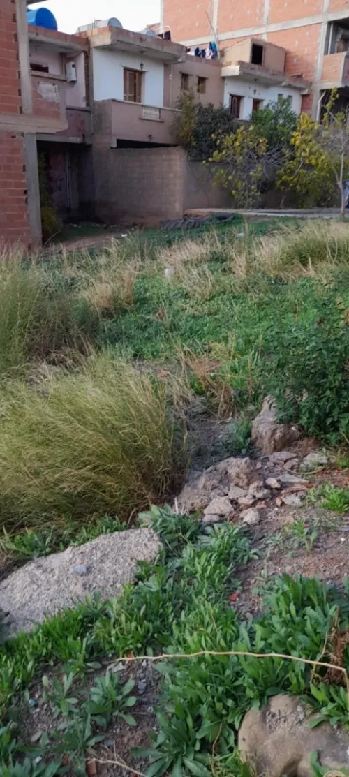 Vente Terrain Bouira El asnam