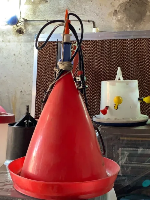Abreuvoir poule ( installation) jamais utilisé