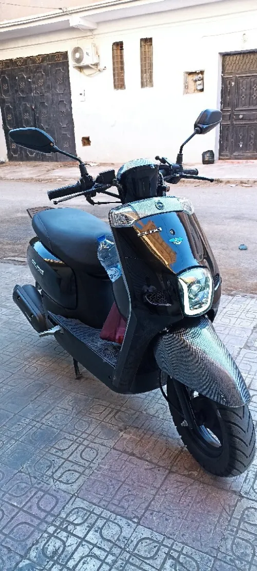 Cuxi Coxi1 2021