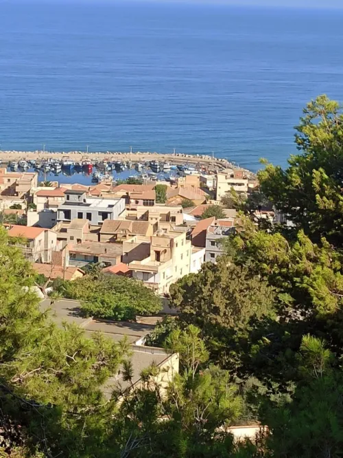 Vente Terrain Tipaza Bou haroun