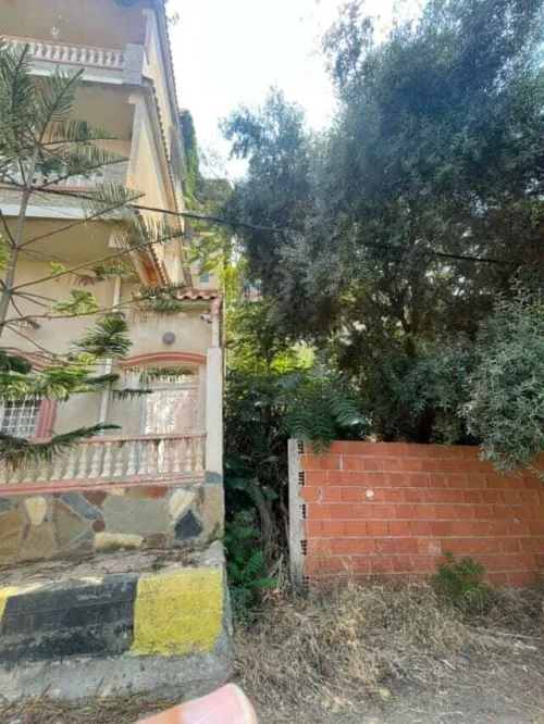 Vente Terrain Tipaza Bou haroun