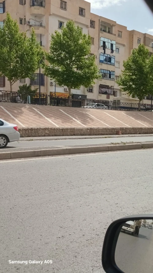 Location Local Sidi Bel Abbès Sidi bel abbes