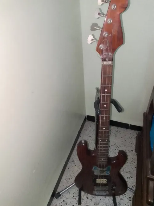 Guitar Bass eko avec support 