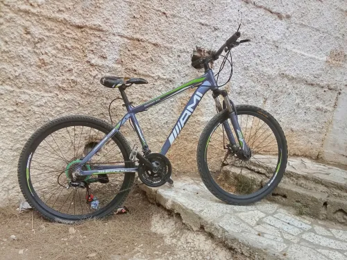 Vilo ami taille 26