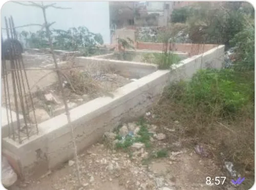 Vente Terrain Tlemcen Tlemcen