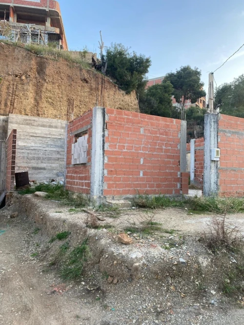 Vente Carcasse Tipaza Larhat