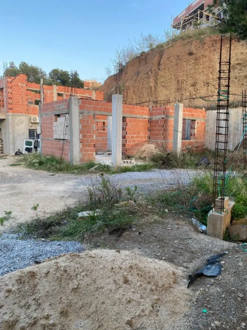 Vente Terrain Tipaza Larhat