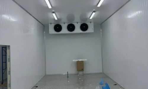 Installation  Chambers froide et Tunnel surgélation.
