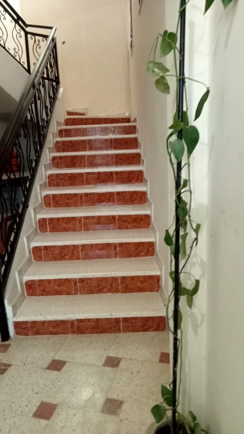 Vente bien immobilier Tlemcen Mansourah