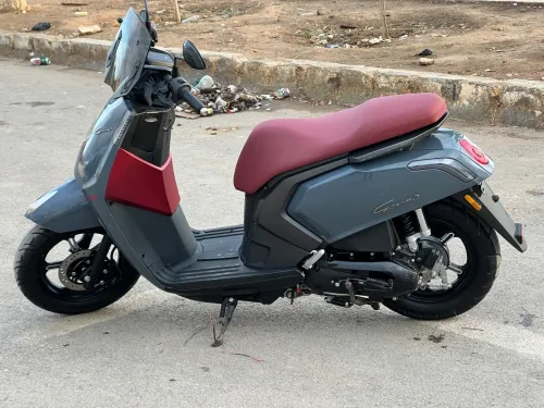 Vms Gemma 2025