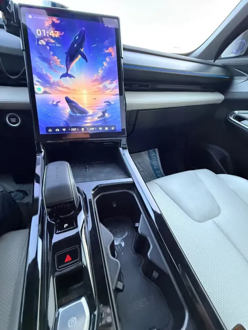 Geely Starray 2024 2024 FLAGSHIP