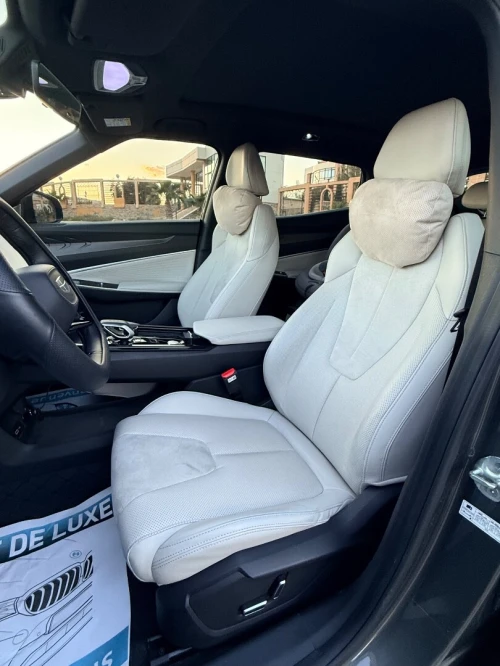 Geely Starray 2024 2024 FLAGSHIP