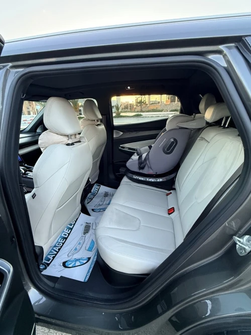 Geely Starray 2024 2024 FLAGSHIP