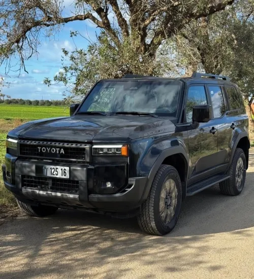 Toyota Lc250 pardo 2025 VX