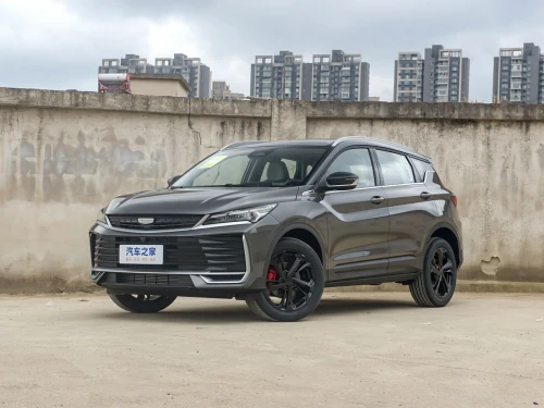 Geely cool ray 2025 tt option