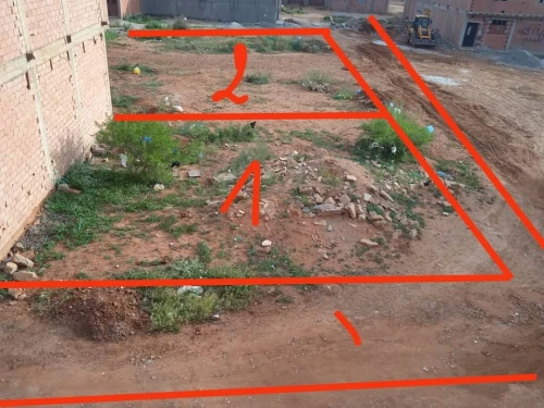 Vente Terrain Tlemcen Maghnia