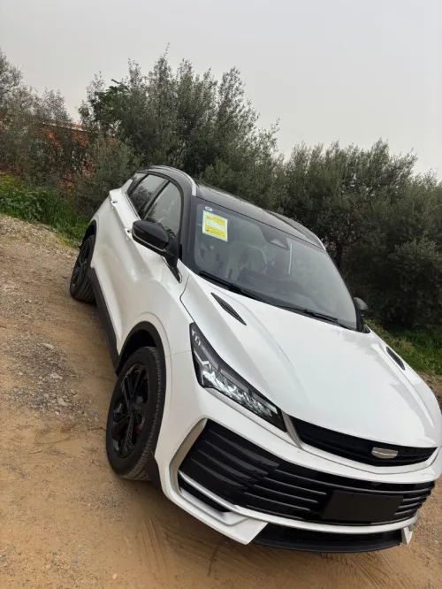 Geely COOL RAY 2026 