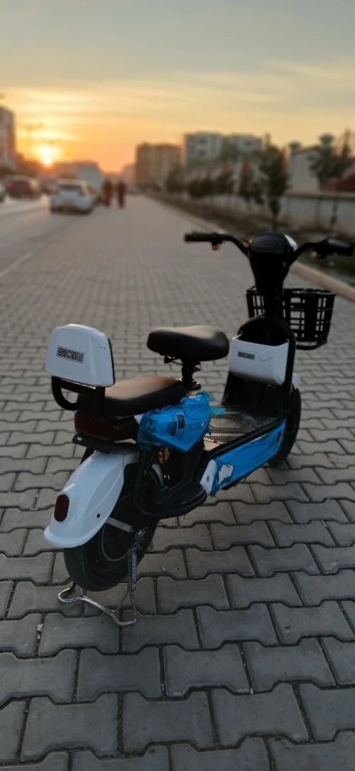 Gicin Sk8 Sk8 2025