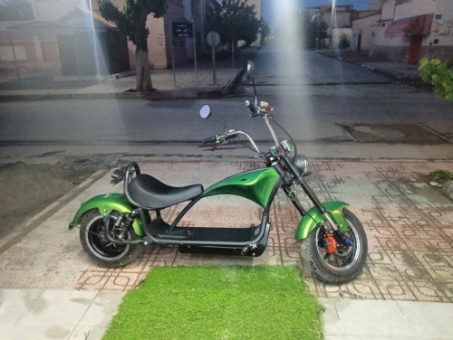 Harley city coco Harley 2025
