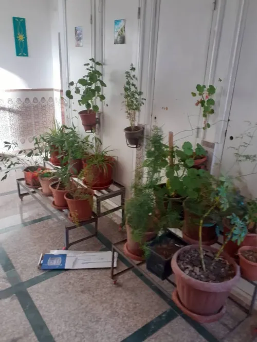 Vente Appartement F4 Sétif Ouled sabor