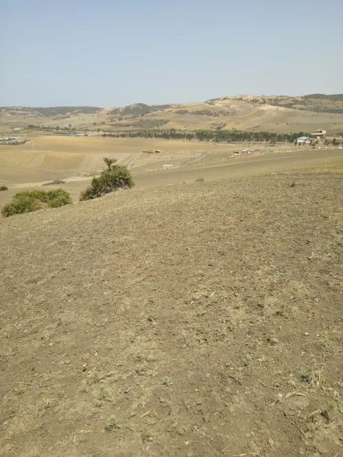 Vente Terrain Oran Ain el kerma