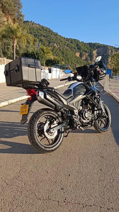 Vms rk 200 Rk 200 2024