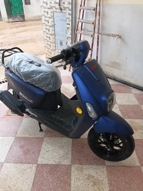 QQ 110 Qq 110 2026