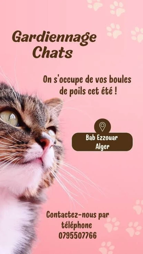 Gardiennage chats