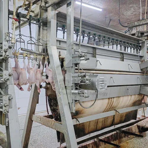 Équipements d'abattoir semi-automatisés de 300 à 13 000 animaux par heure