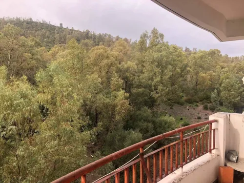 Vente Appartement Annaba Annaba