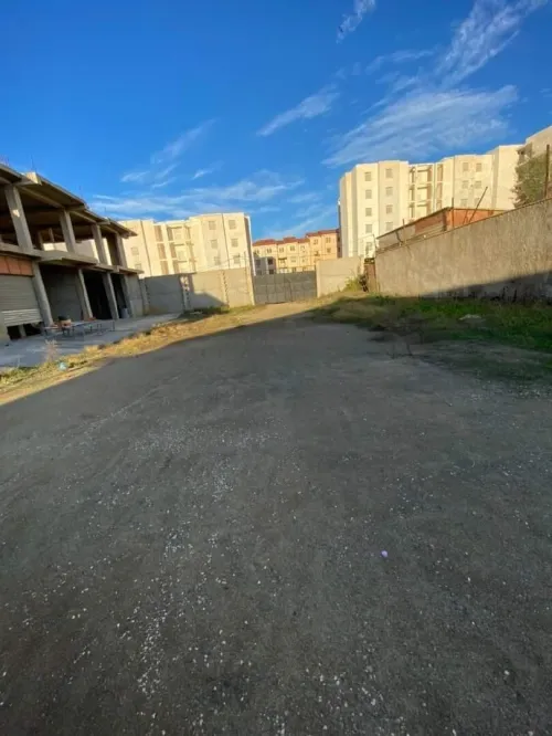Location Hangar Tipaza Hadjout