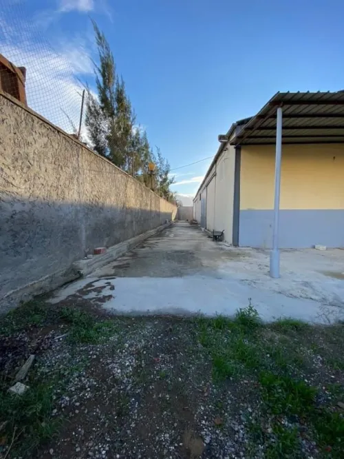 Location Hangar Tipaza Hadjout