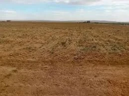 Vente Terrain Agricole Batna Seriana