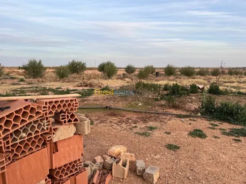 Vente Terrain Laghouat El assafia