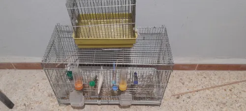 Vente de cage