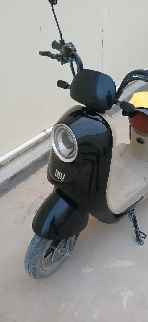 Niu Niu walido 2025