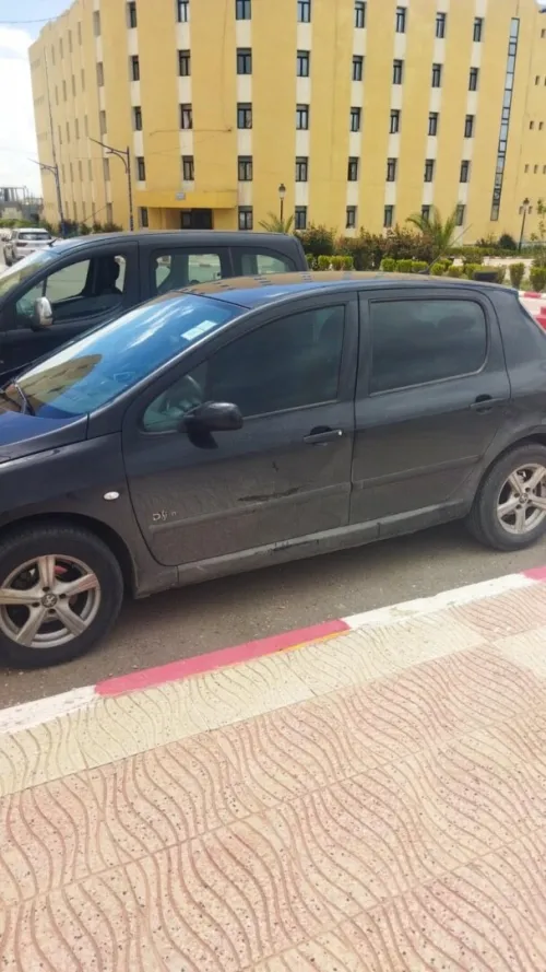 Peugeot 307 2007 Oxygo