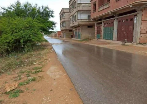Vente Terrain Mostaganem Sayada