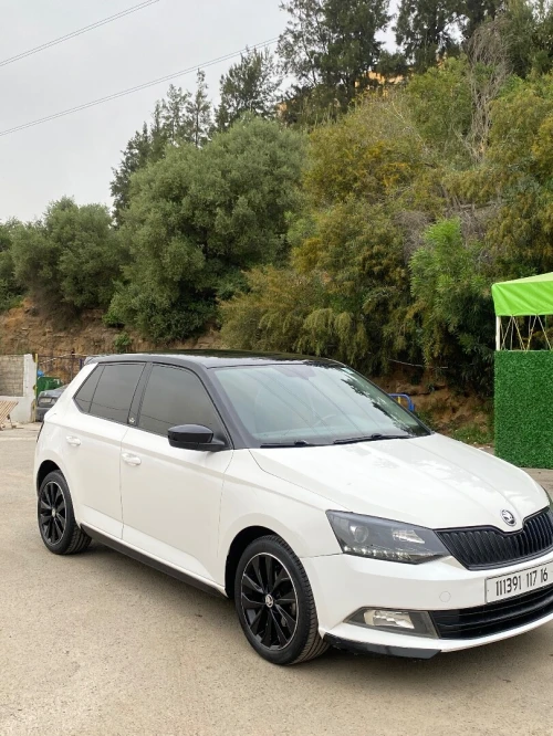 Skoda Fabia 2017 Monte Carlo