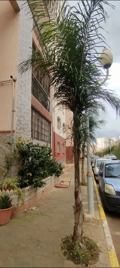 Vente Appartement F4 Alger Ouled fayet