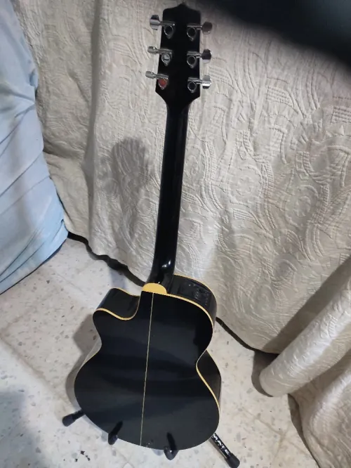Guitare takamine g series 