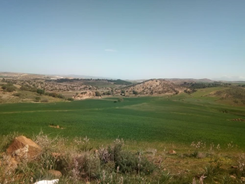 Vente Terrain Agricole Bouira Sour el ghouzlane