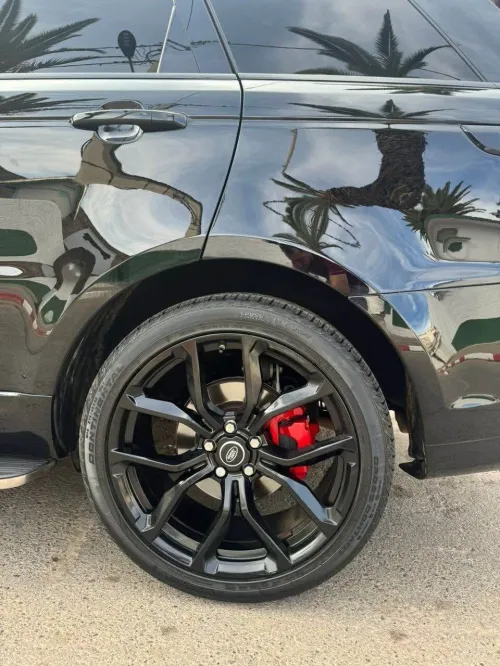 Rover P300 2018 