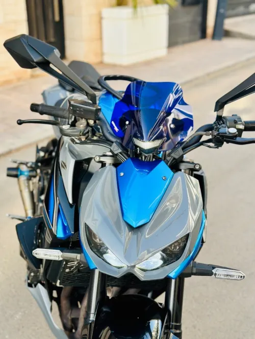 Kawasaki Z1000 2018