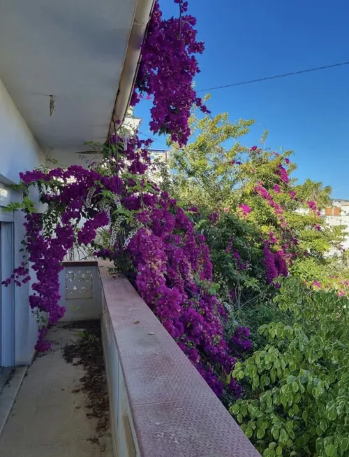 Location Villa Skikda El marsa