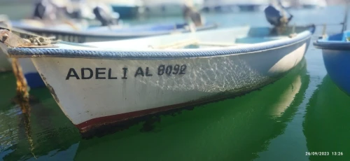 Yamaha 8 cv 2014