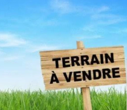 Vente Terrain Tipaza Bou haroun